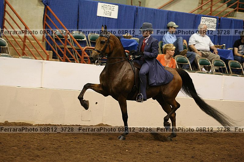 Proof 08r12_3728