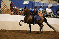 08r12_3728 proof