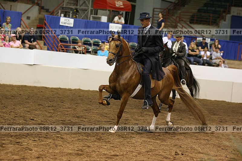 Proof 08r12_3731