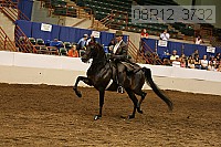 08r12_3732 proof