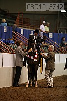 08r12_3742 proof