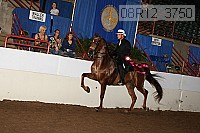 08r12_3750 proof
