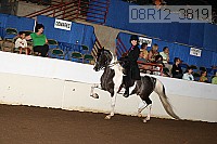 08r12_3819 proof