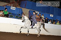 08r12_3822 proof