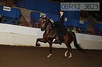08r12_3823 proof
