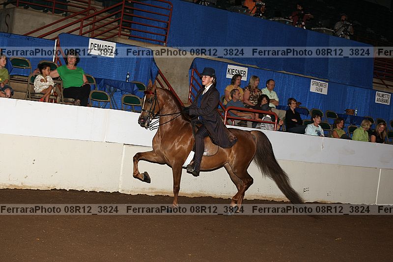 Proof 08r12_3824