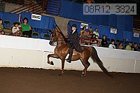 08r12_3824 proof