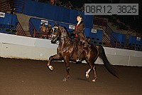 08r12_3825 proof