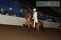 08r12_3826 proof