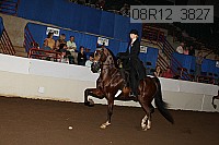 08r12_3827 proof