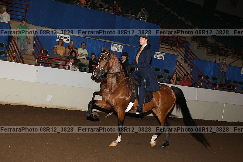 Proof 08r12_3828