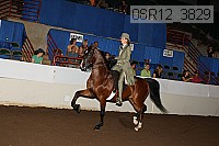 08r12_3829 proof