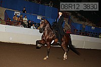 08r12_3830 proof