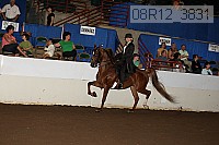 08r12_3831 proof