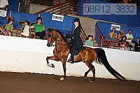 08r12_3832 proof