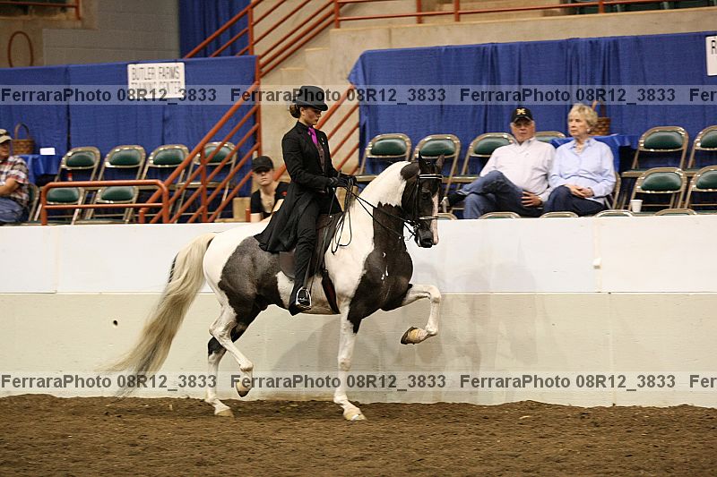 Proof 08r12_3833