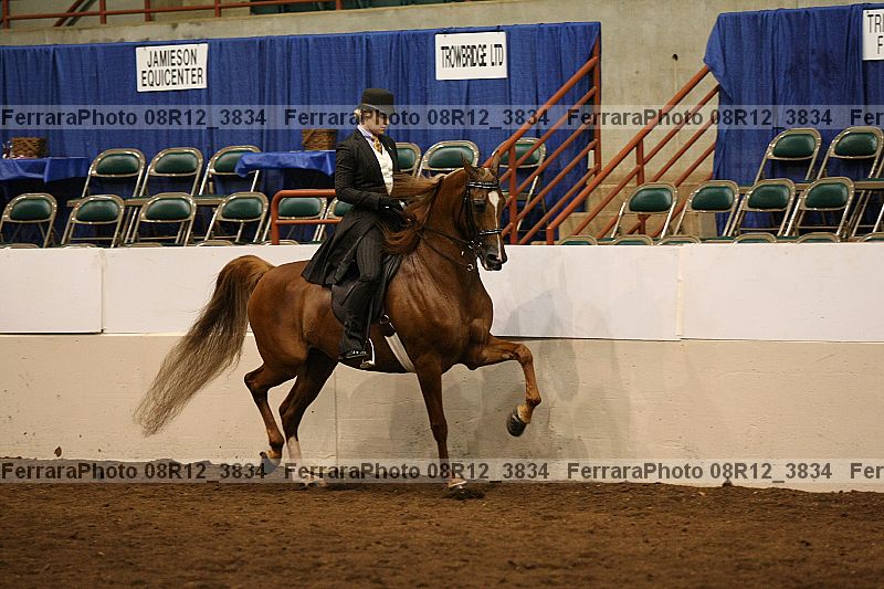 Proof 08r12_3834