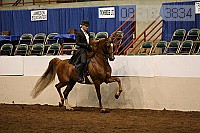 08r12_3834 proof
