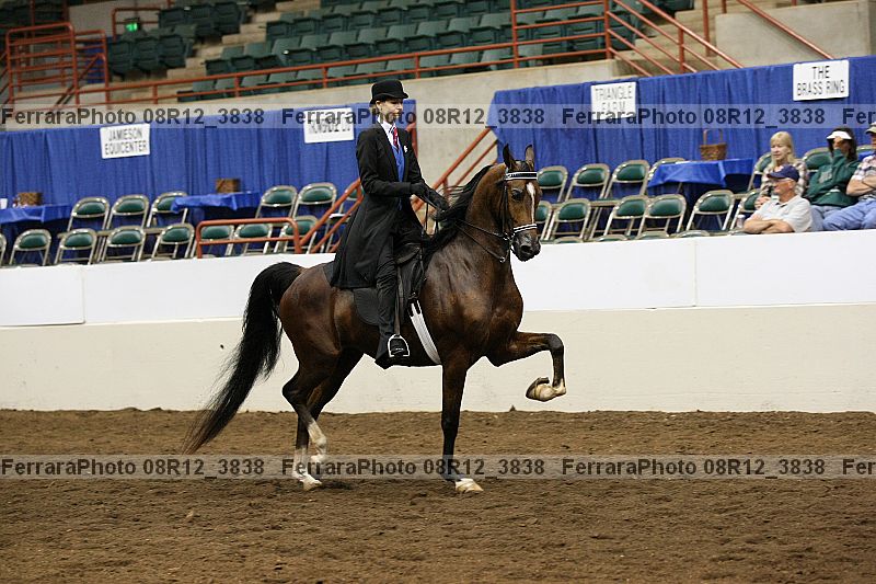 Proof 08r12_3838