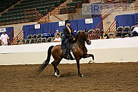 08r12_3843 proof