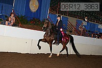 08r12_3863 proof