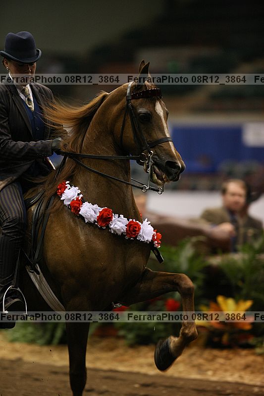 Proof 08r12_3864