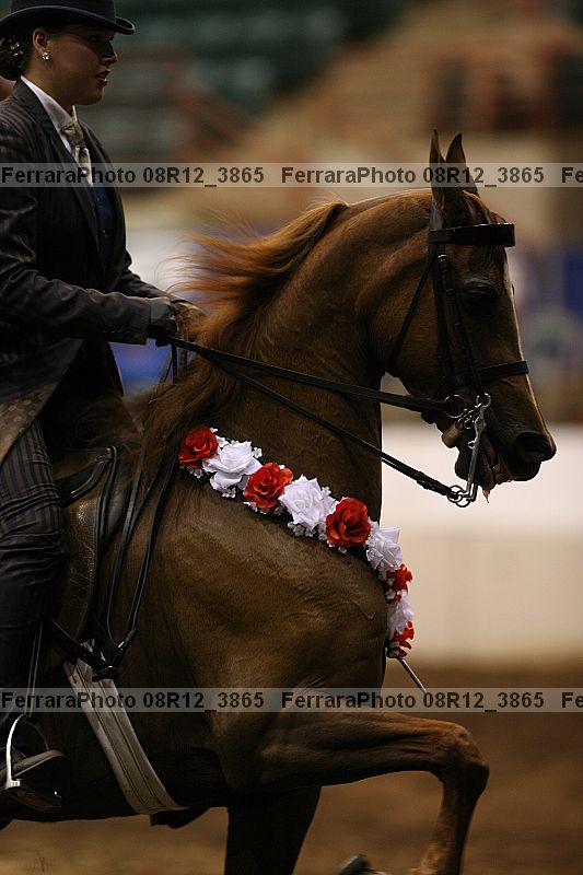 Proof 08r12_3865