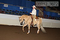 08r12_3872 proof