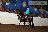 08r12_3878 proof
