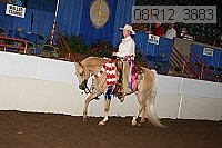 08r12_3883 proof
