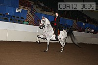 08r12_3885 proof