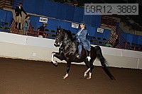 08r12_3889 proof