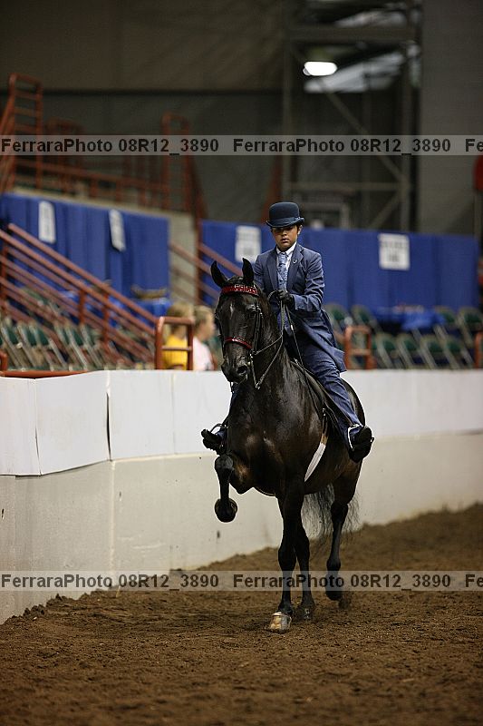 Proof 08r12_3890