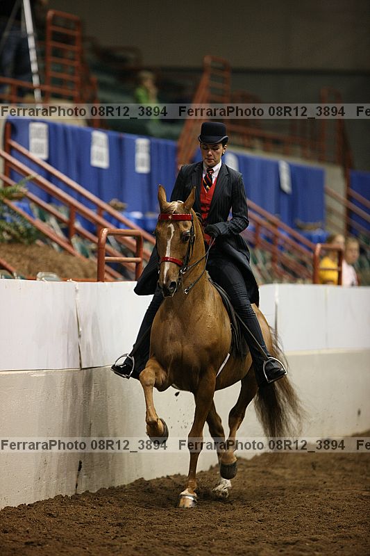 Proof 08r12_3894