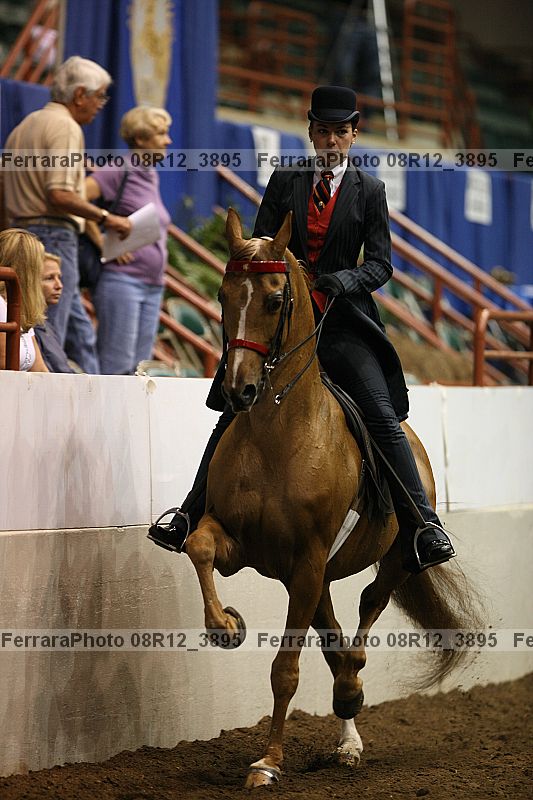 Proof 08r12_3895