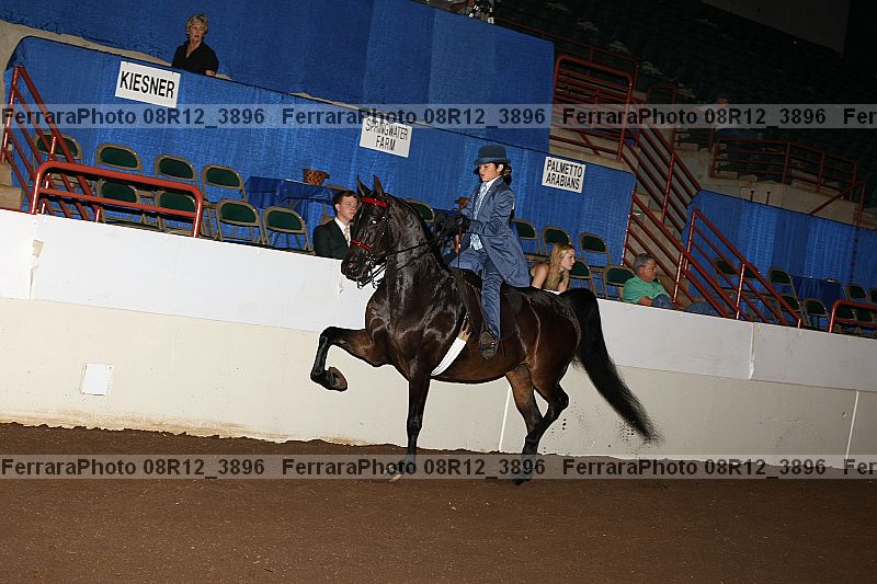 Proof 08r12_3896