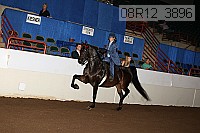 08r12_3896 proof