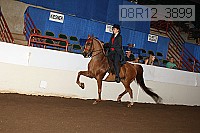 08r12_3899 proof