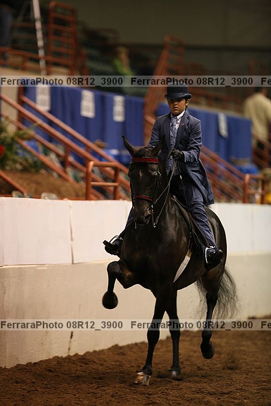 Proof 08r12_3900
