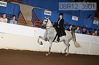08r12_3901 proof