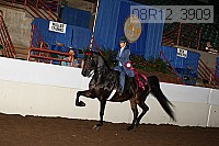 08r12_3909 proof