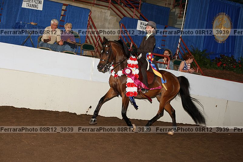 Proof 08r12_3939