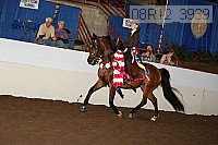 08r12_3939 proof