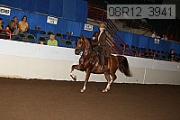 08r12_3941 proof