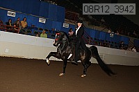 08r12_3942 proof
