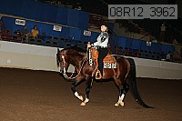 08r12_3962 proof
