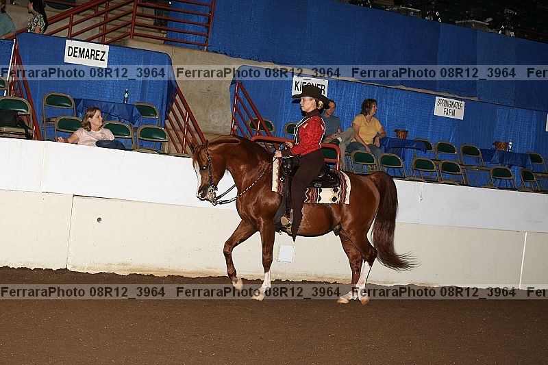 Proof 08r12_3964