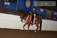 08r12_3982 proof