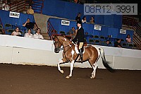 08r12_3991 proof