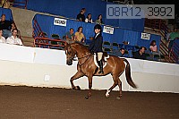 08r12_3992 proof